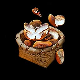 Century Rind
