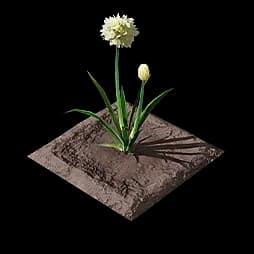 Jincao Plot (Formula)