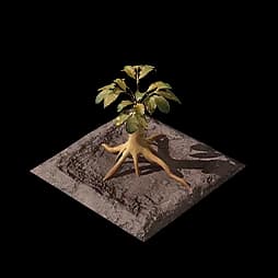Redjade Ginseng Plot (Formula)