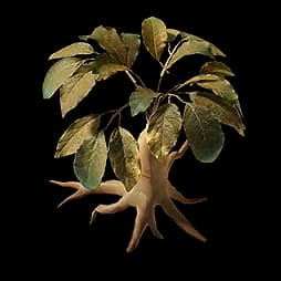 Redjade Ginseng