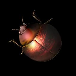 Scorchbug
