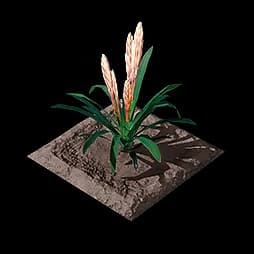 Yazhen Plot (Formula)