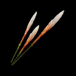 Yazhen Seed