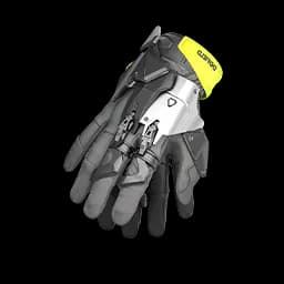 AIC Fieldwork Assault Gloves