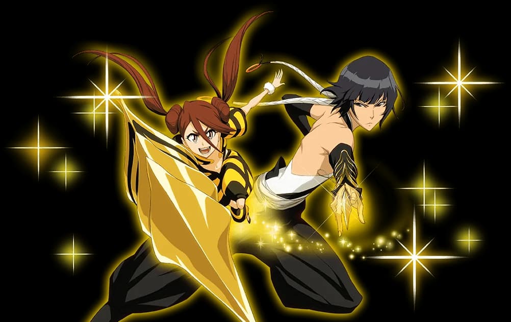 Soi Fon (Tag Team version)