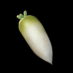 Clean Radish