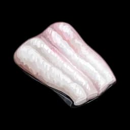 Eel Meat