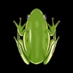 Frog (Material)