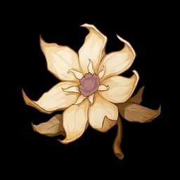 Little Dried Flower