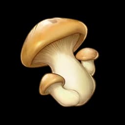 Mushroom