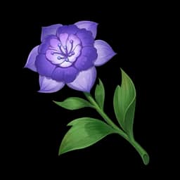 Sumeru Rose