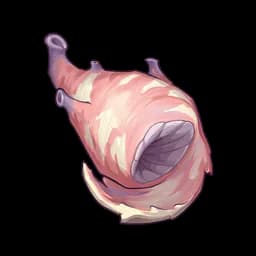 Tiny Conch