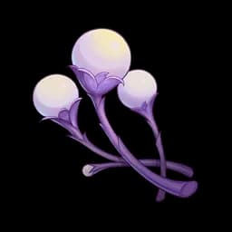 Udumbara Pistil