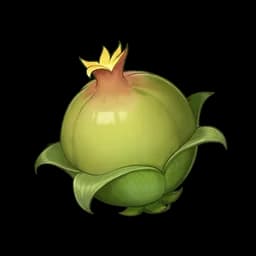 Vasoma Fruit