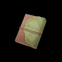 Nikki's Clue Notebook