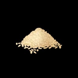 Some Grains that Birds Like to Eat