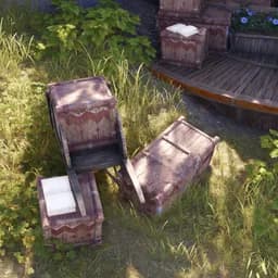 Summary of the Preliminary Survey Results for the Shroom-Friend Summer Camp