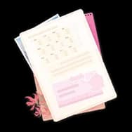 Archive Flametail Paper V (Journal Paper)