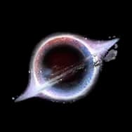 Black Hole (Sticker)