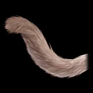 Bunny Kitty: Dark Tail (Tail)