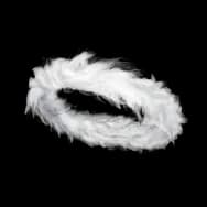Cloud Nest