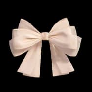 Elegant Beige Bow