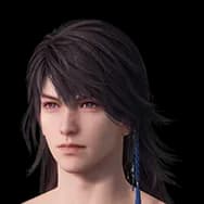 Enduring Will (Hairstyle)
