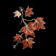 Falling Maple Leaves