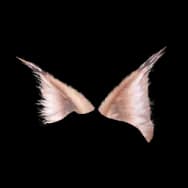 Fiendish Kitty: Light Ears