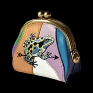Frog Wallet Proto