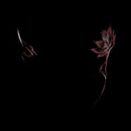 Ink Petal (Decal)