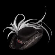 Nightveil Plume (Hat)
