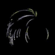 Radiant Snowmelt (Headwear)