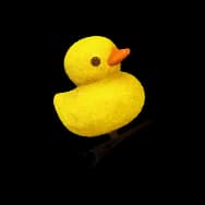 Rubber Duck