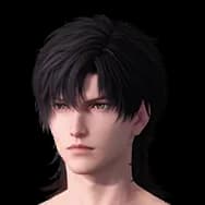 Silent Radiance (Hairstyle)