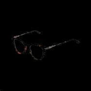 Tortoiseshell Trend