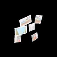 Traveler's Memento (Home Item)