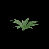 Vein Bush (Home Item)