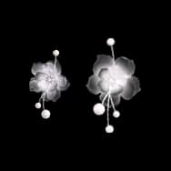 Whispered Scent (Earrings)