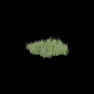 Wild Grass (Home Item)