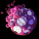 Infected Cyst