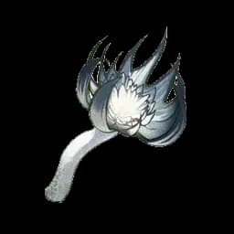 Terraspawn Fungus