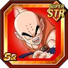 Passionate Friendship Krillin