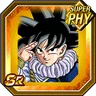 Miraculous Return Goku