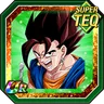 The Miracle of Potara Vegito