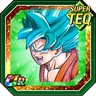 Crusher of Evil Super Saiyan God SS Goku