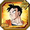 The Future Bearer Gohan (Future)