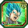 Proud Heir Super Saiyan God SS Vegeta