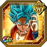 Challenger against God Super Saiyan God SS Goku
