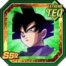 A Future Destroyed Goku Black